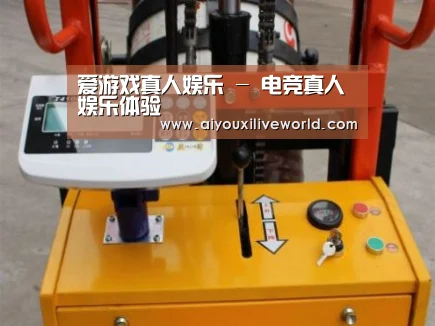 爱游戏下载案例展示三