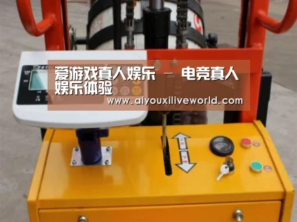 爱游戏下载案例展示三(图1)