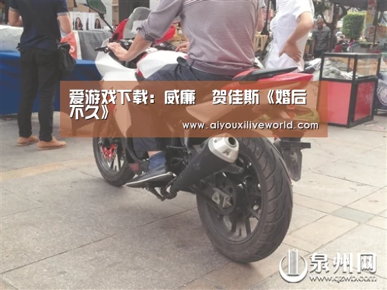 爱游戏下载:威廉•贺佳斯《婚后不久》(图4) 爱游戏电竞