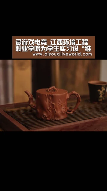 爱游戏电竞_江西环境工程职业学院为学生实习设“维权师”(图2) 爱游戏APP