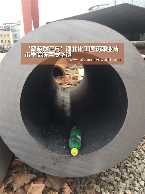 ‘爱游戏官方’河北化工医药职业技术学院庆百岁华诞(图3) 爱游戏官方