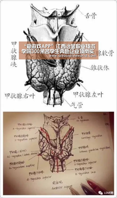 爱游戏APP