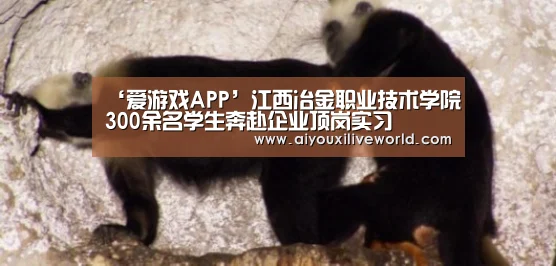 爱游戏下载