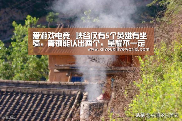 爱游戏电竞-峡谷仅有5个英雄有坐骑,青铜能认出两个,星耀不一定认全(图1) 爱游戏APP